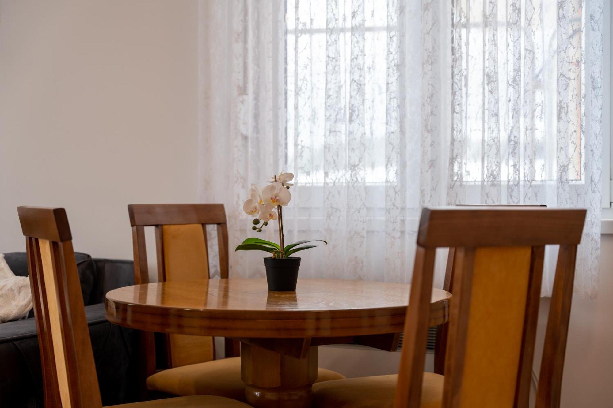 Apartmán Tijana Zlatibor Exteriér fotografie
